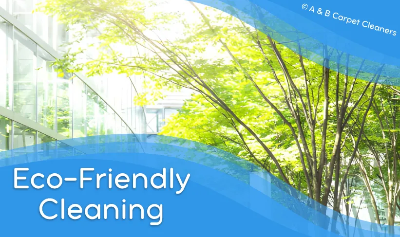 Professional Organic Cleaning Service